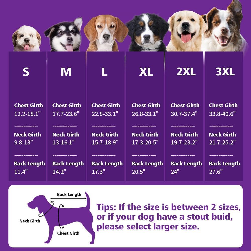 Fragralley dog coat purple M easy-on-off with Velcro closures.