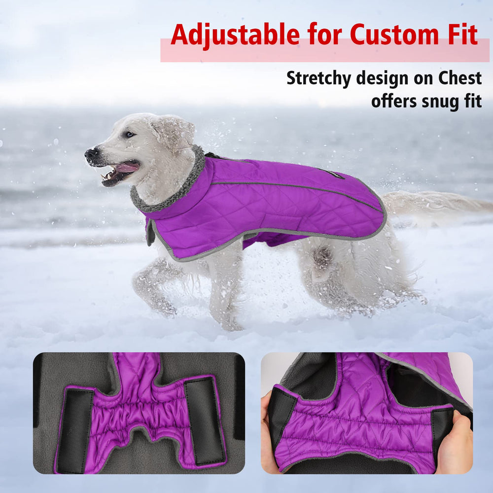 Fragralley coat purple M leg straps keep coat in place during activity.