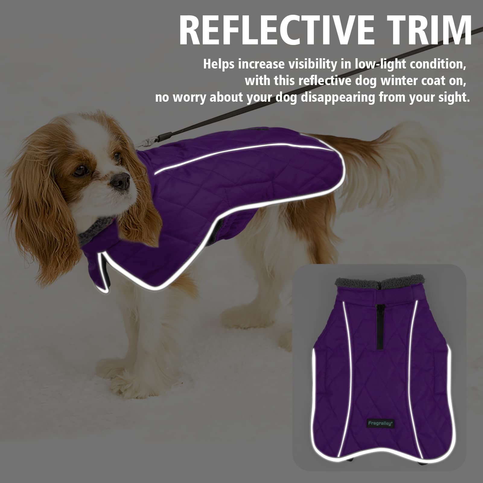 Fragralley purple M reflective strips boost nighttime visibility.