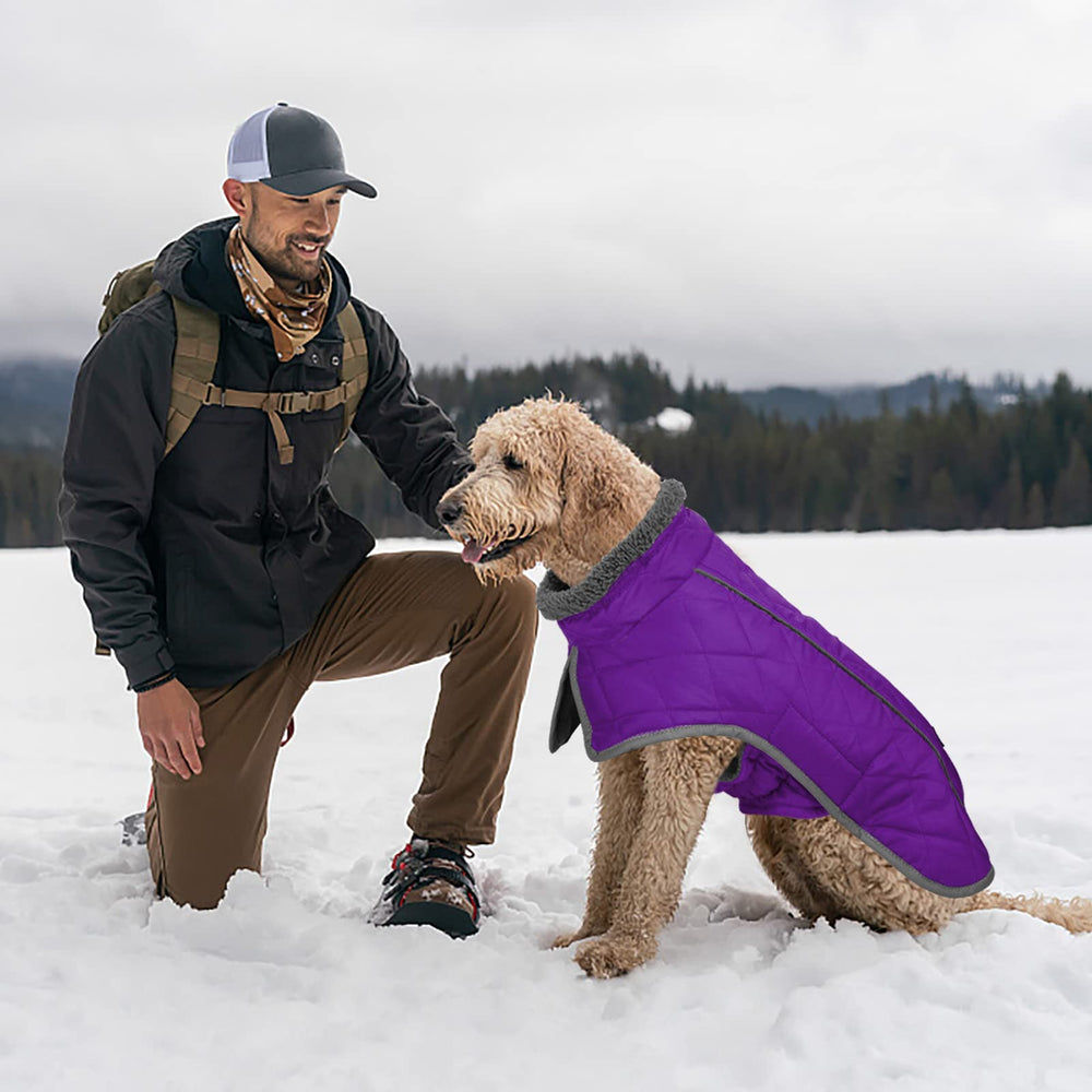 Fragralley sizing chart helps find the best fit for dogs.