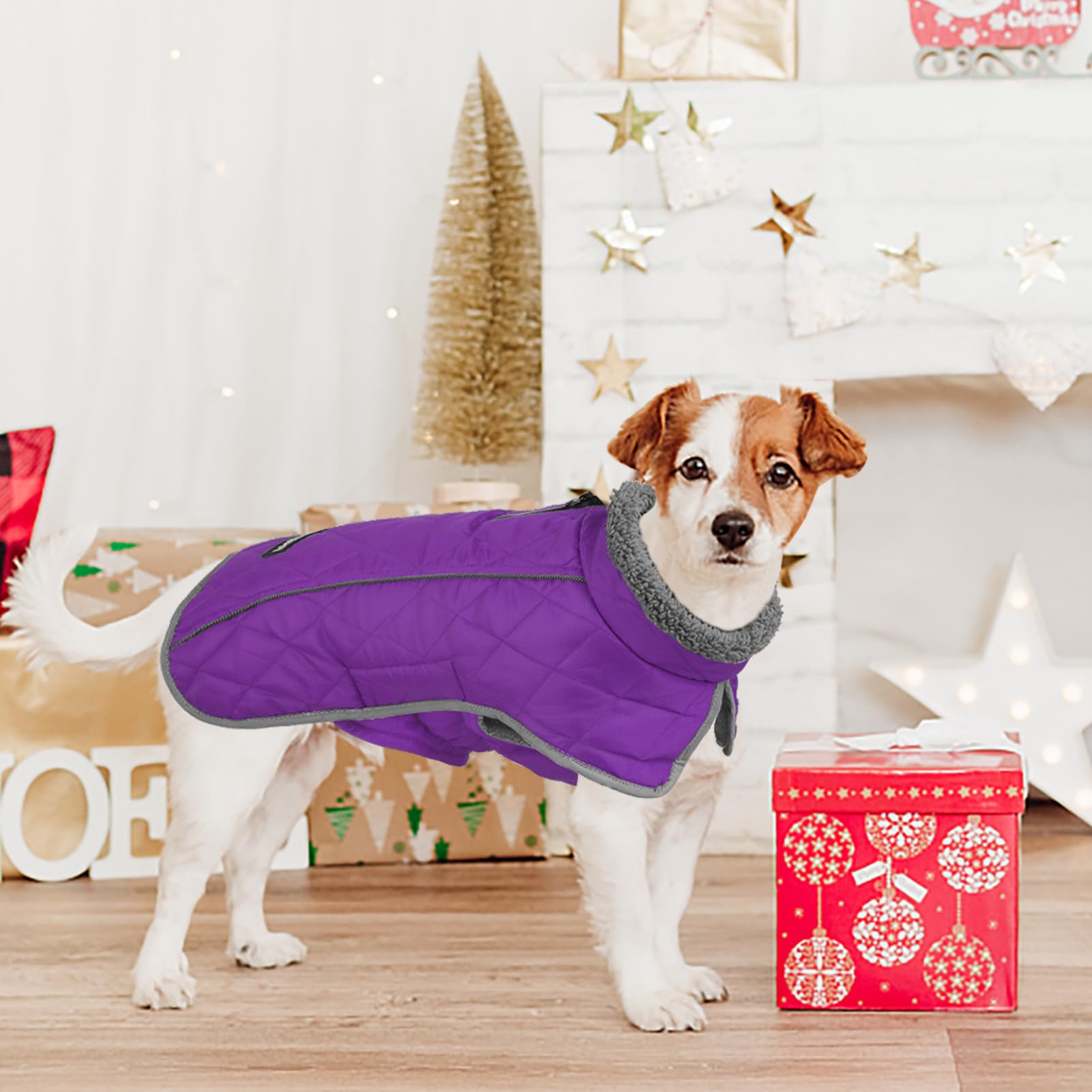 Fragralley purple M turtleneck design for extra warmth.