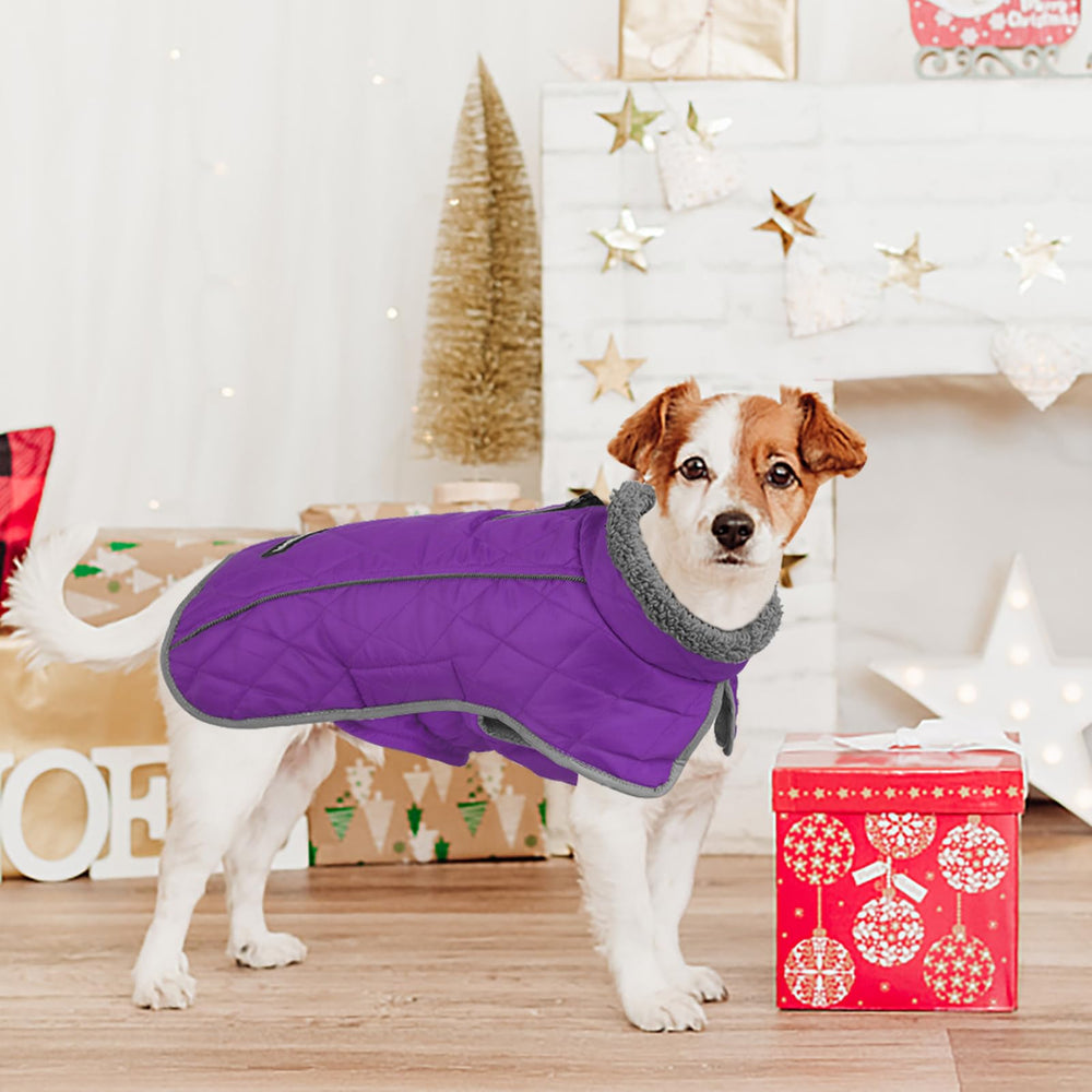 Fragralley purple M turtleneck design for extra warmth.