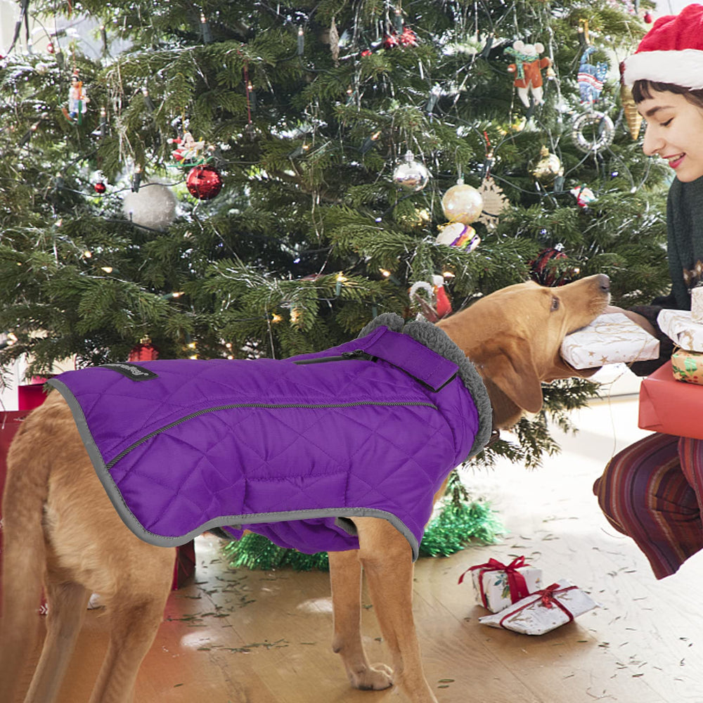 Fragralley purple M coat interior fleece lining for cozy warmth.