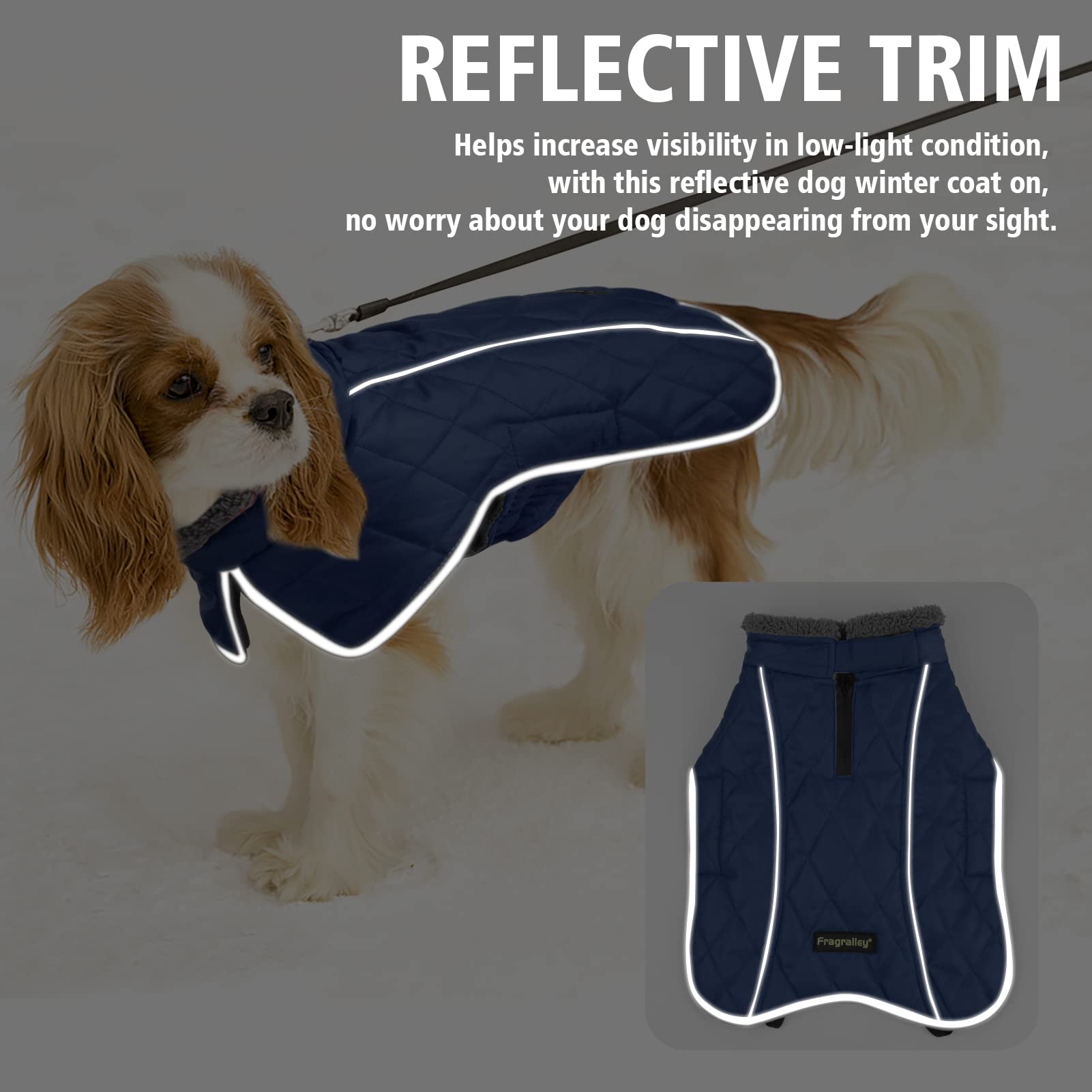Fragralley dog coat with reflective strips enhances nighttime visibility for safe evening strolls.