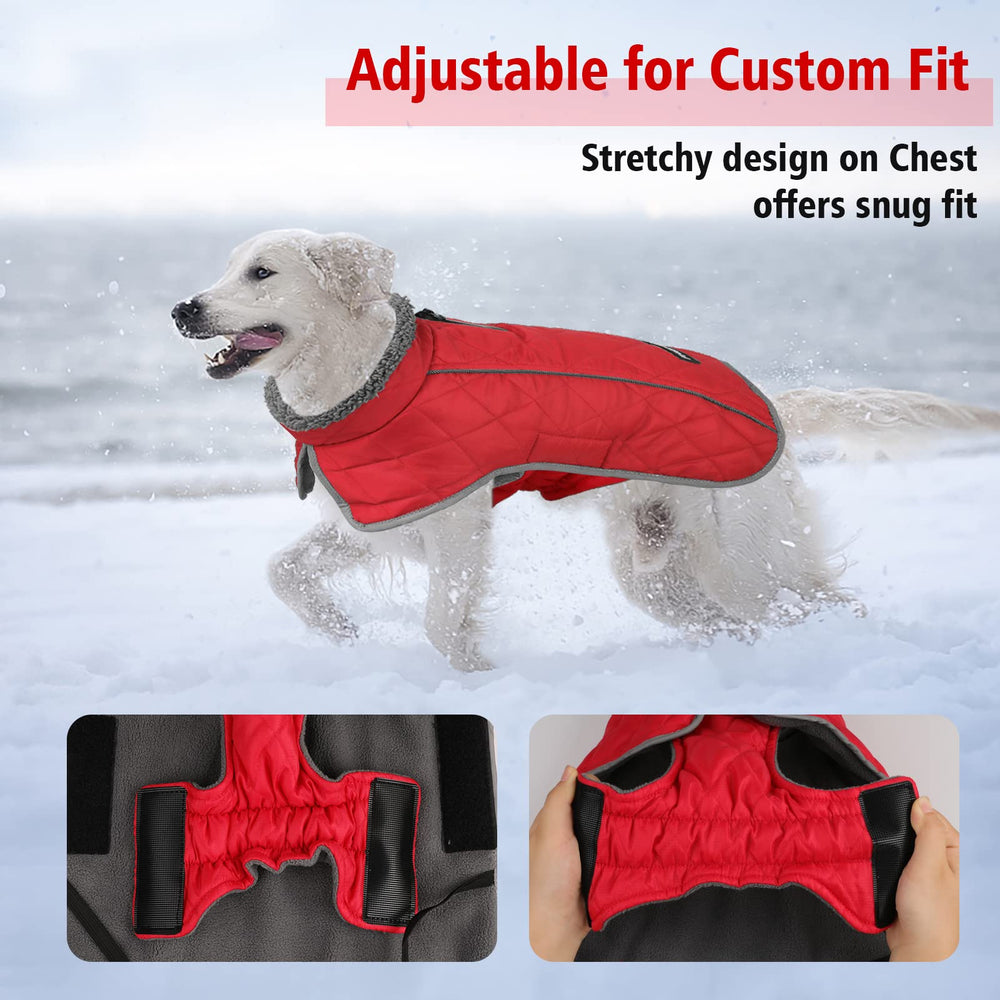 Fragralley dog coat reflective strips boost nighttime visibility.