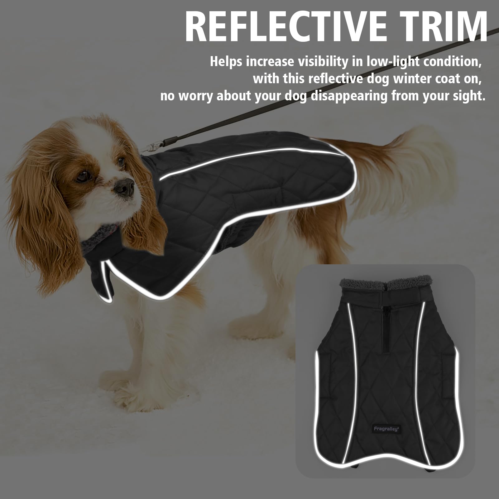 Fragralley dog coat reflective strips improve night visibility