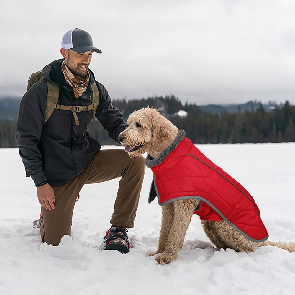 Fragralley dog coat six-size chart helps owners find the perfect fit.