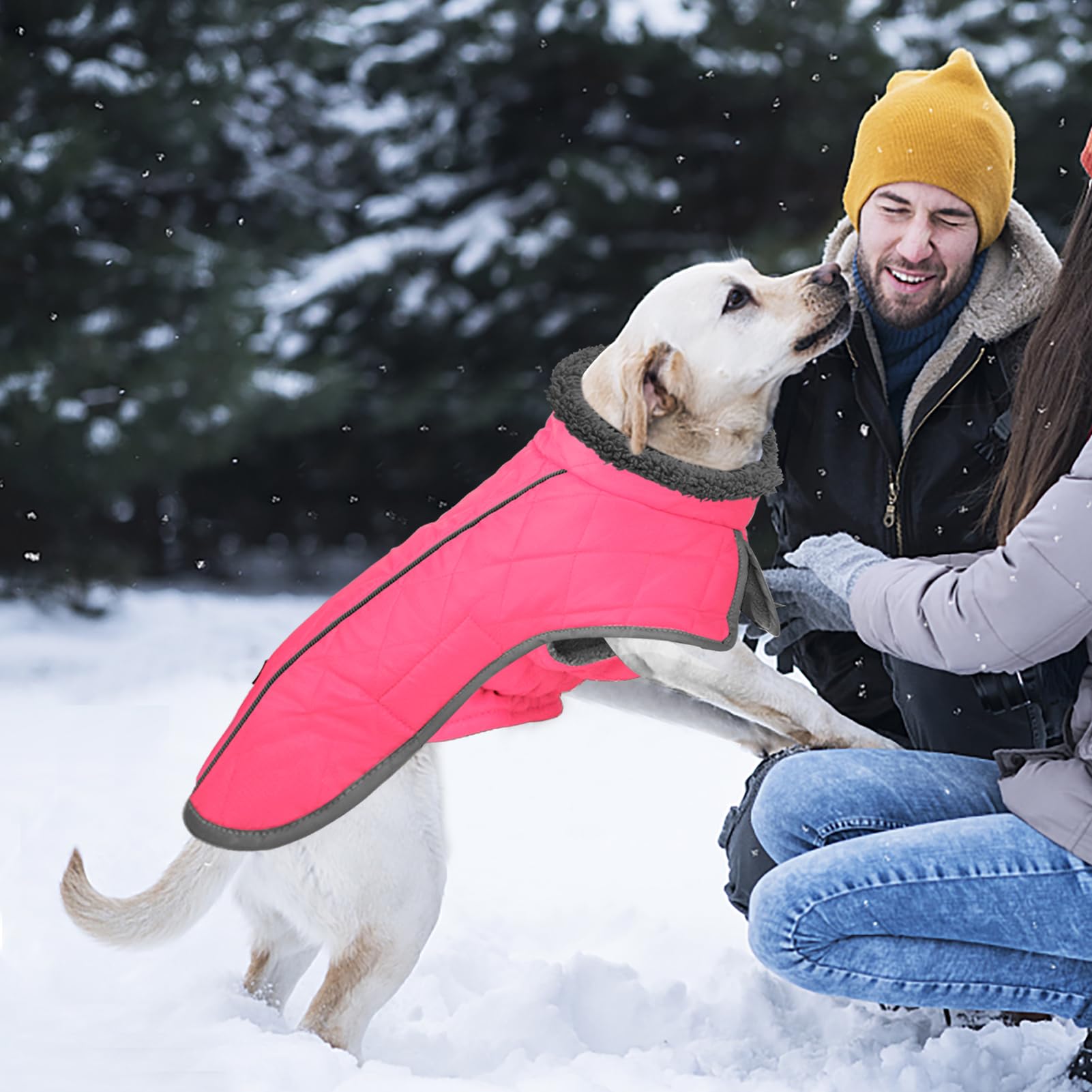 Fragralley size chart helps find the best fit for your dog