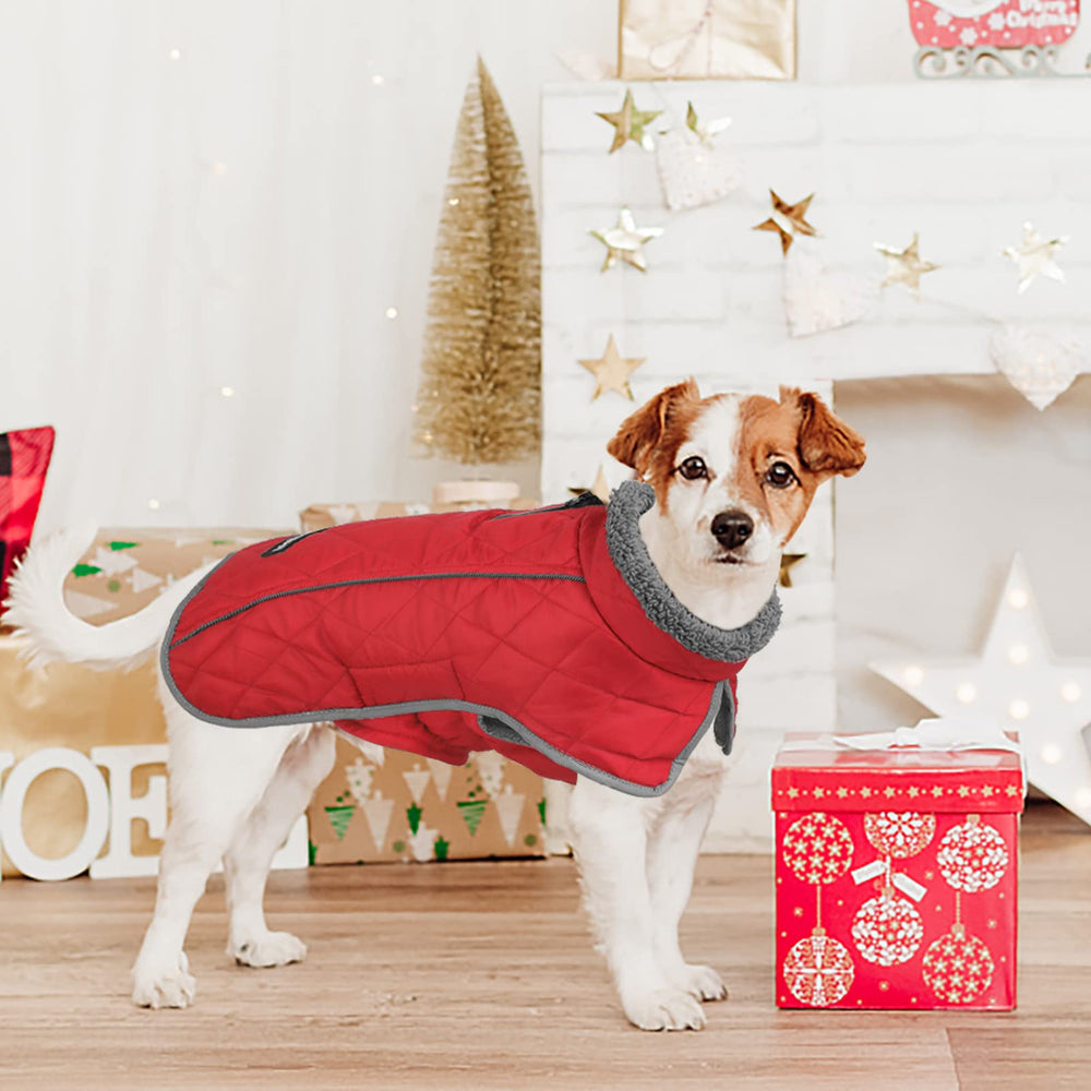 Fragralley dog coat turtleneck design provides extra warmth.