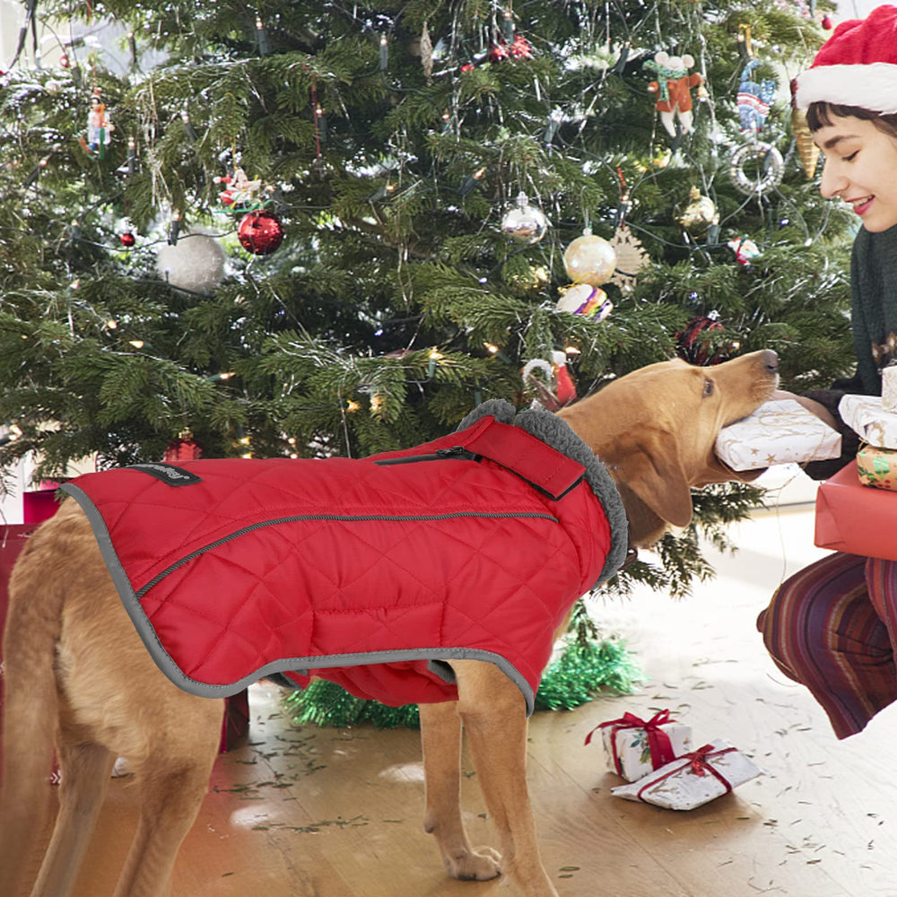 Fragralley dog coat two leg straps keep coat in place during play.