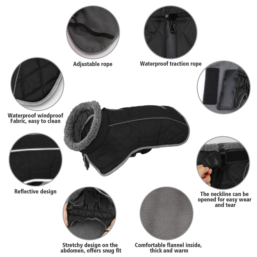 Fragralley dog coat two leg straps stay secure during active play