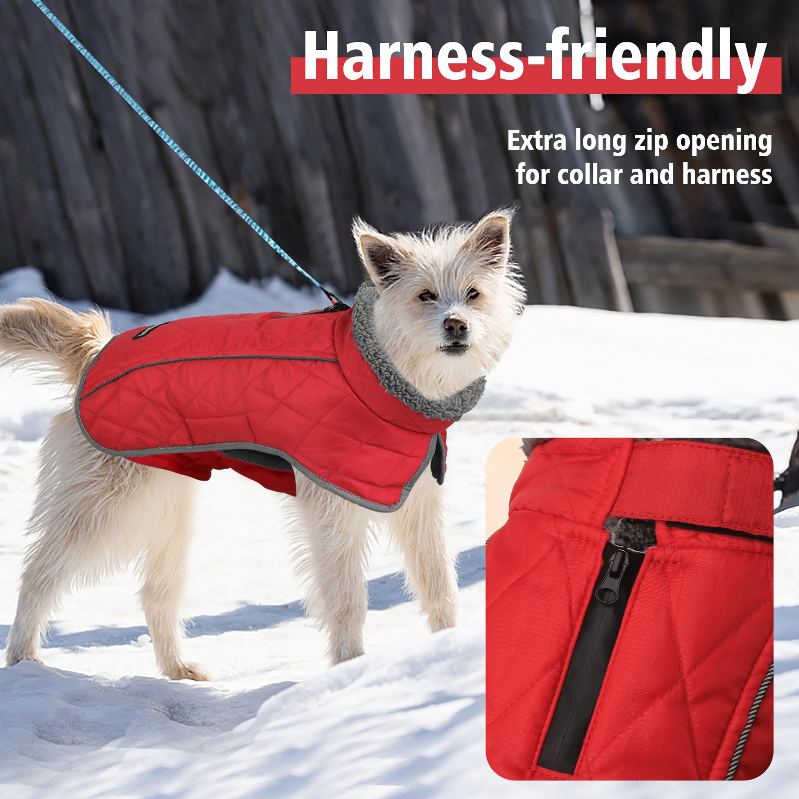 Fragralley dog coat waterproof leash hole enables safe, rain-ready walks.