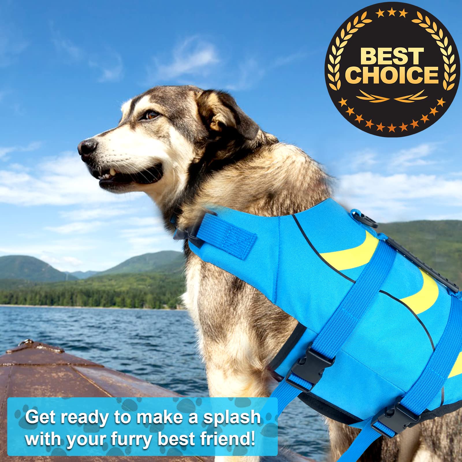 Fragralley dog life vest with shark fin on dog demonstrates standout safety and playful design.