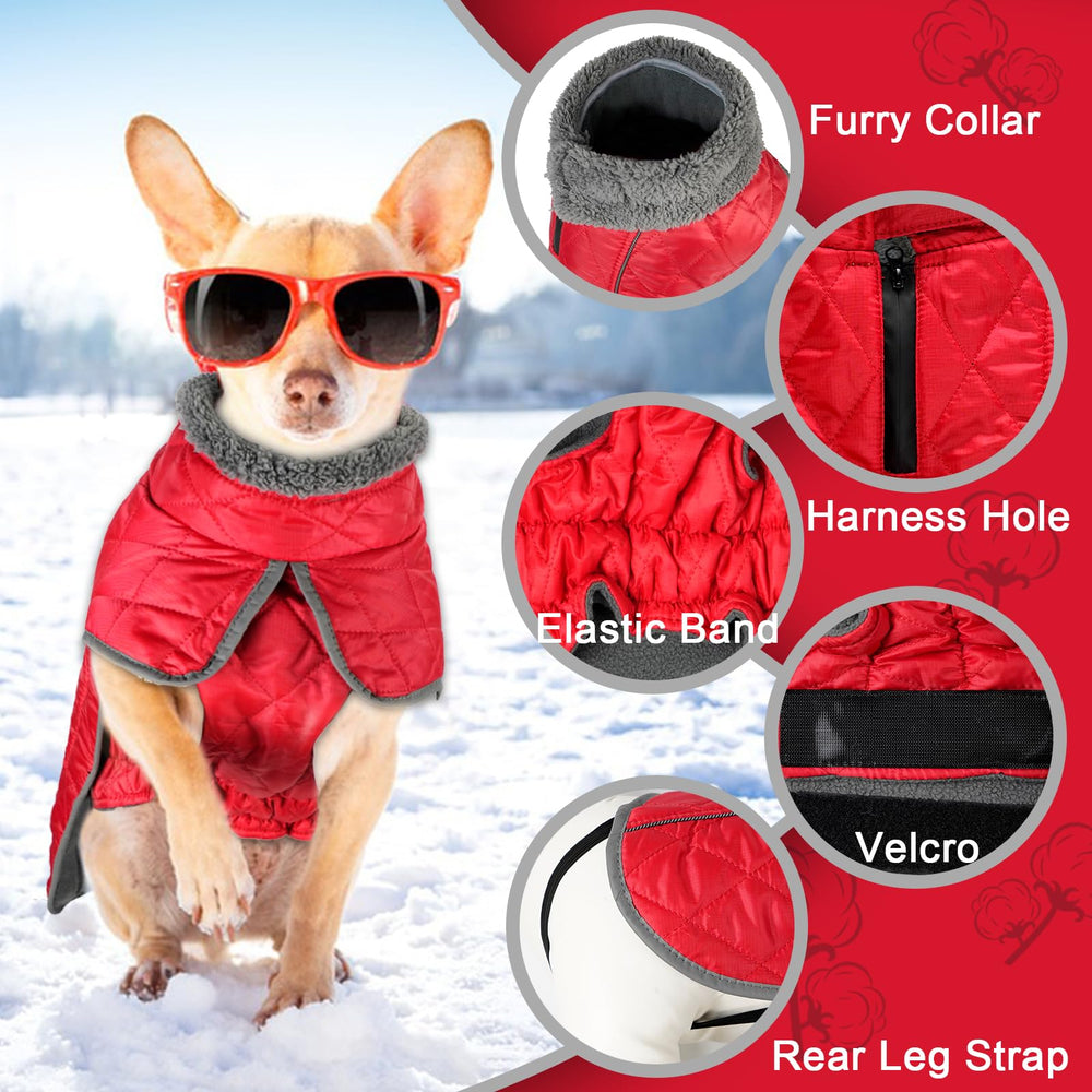 Fragralley dog coat includes elastic abdomen band for comfortable freedom.