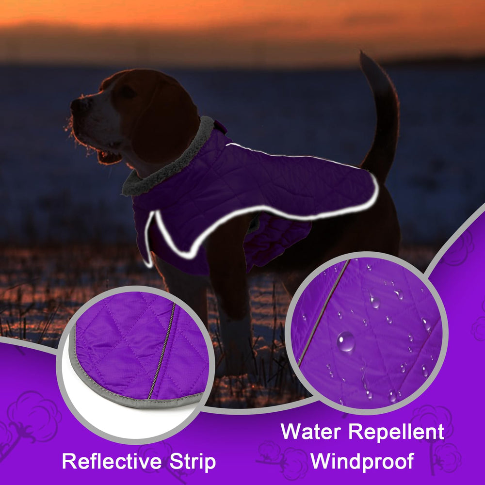 Fragralley dog winter coat with elastic abdominal band for freedom of movement