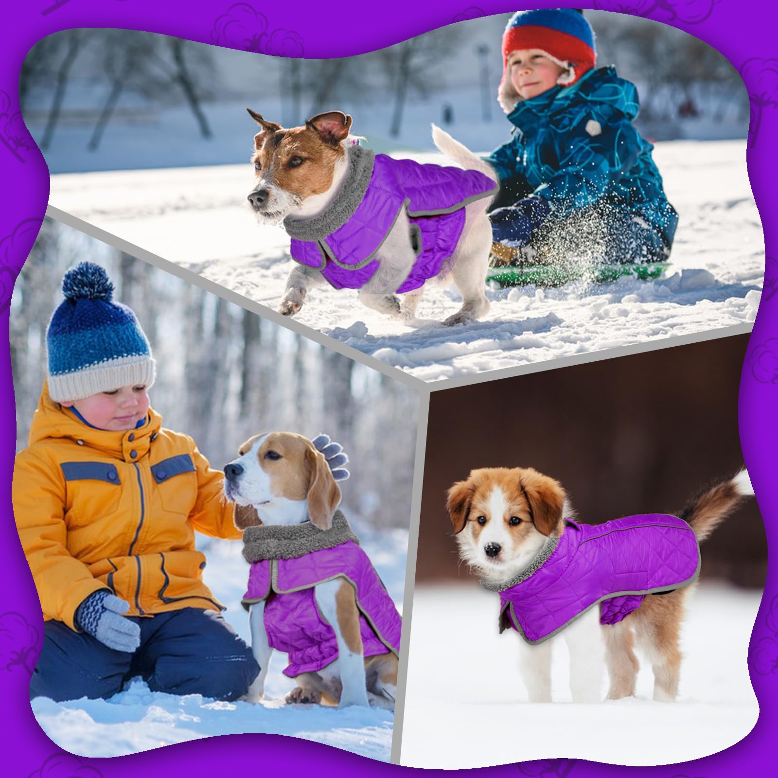 Fragralley dog winter coat uses easy hook-and-loop straps for quick gear-up