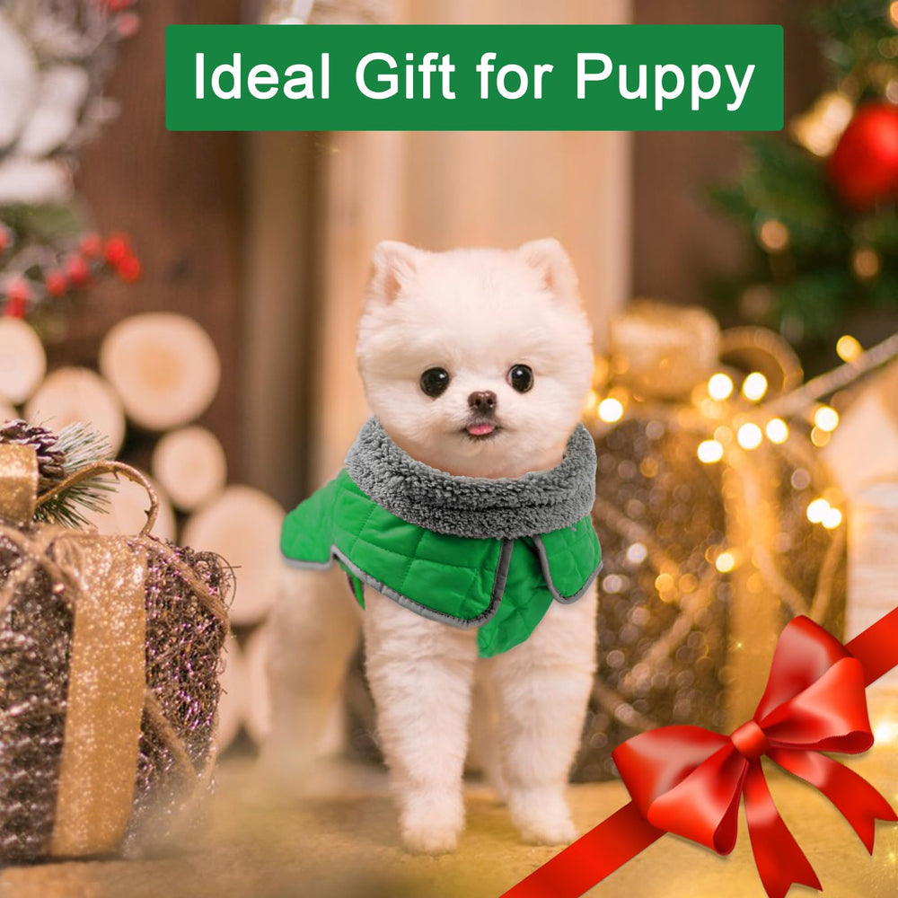 Fragralley dog winter coat insulated lining keeps pups cozy outdoors