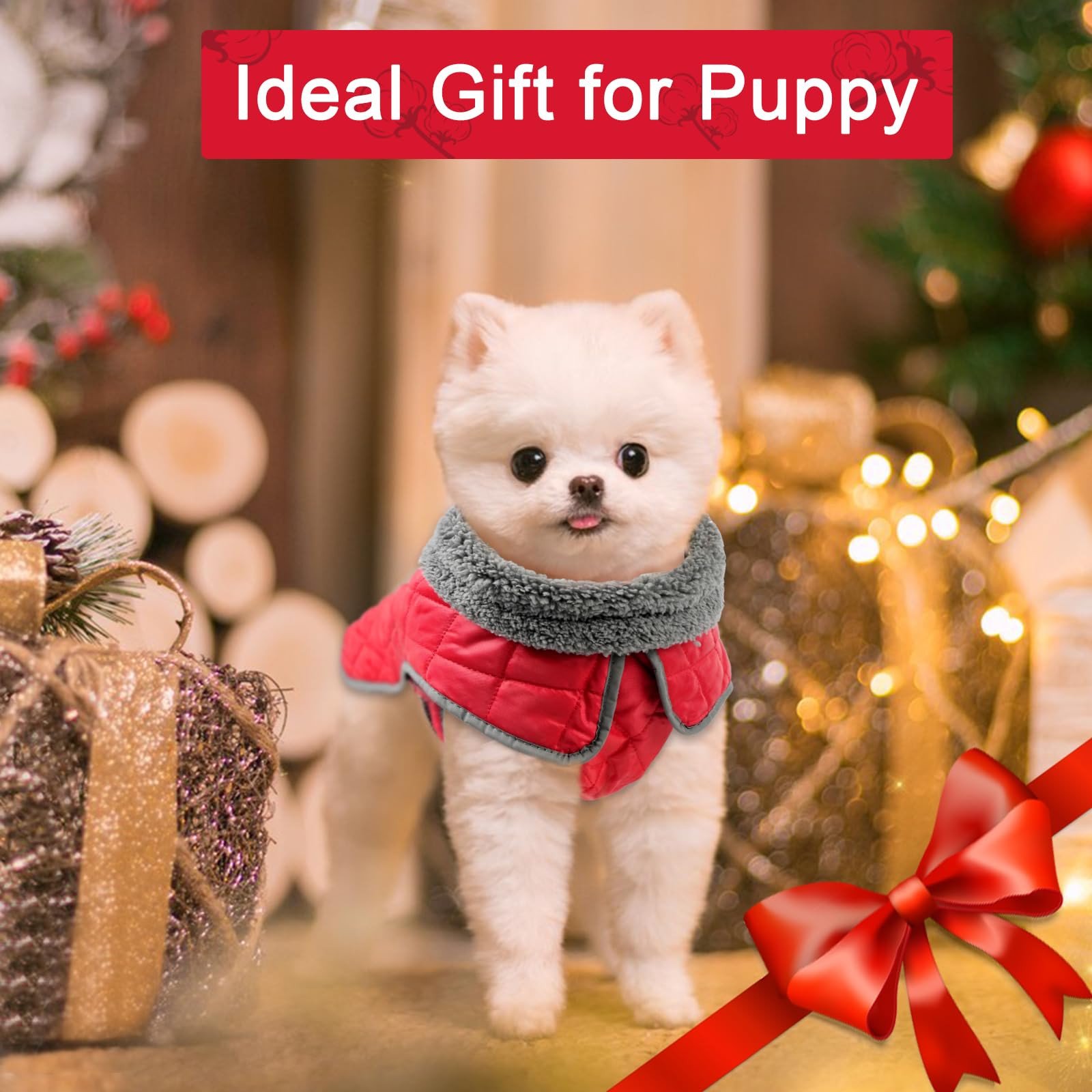 Fragralley insulated fleece and lining deliver snug warmth on chilly walks.