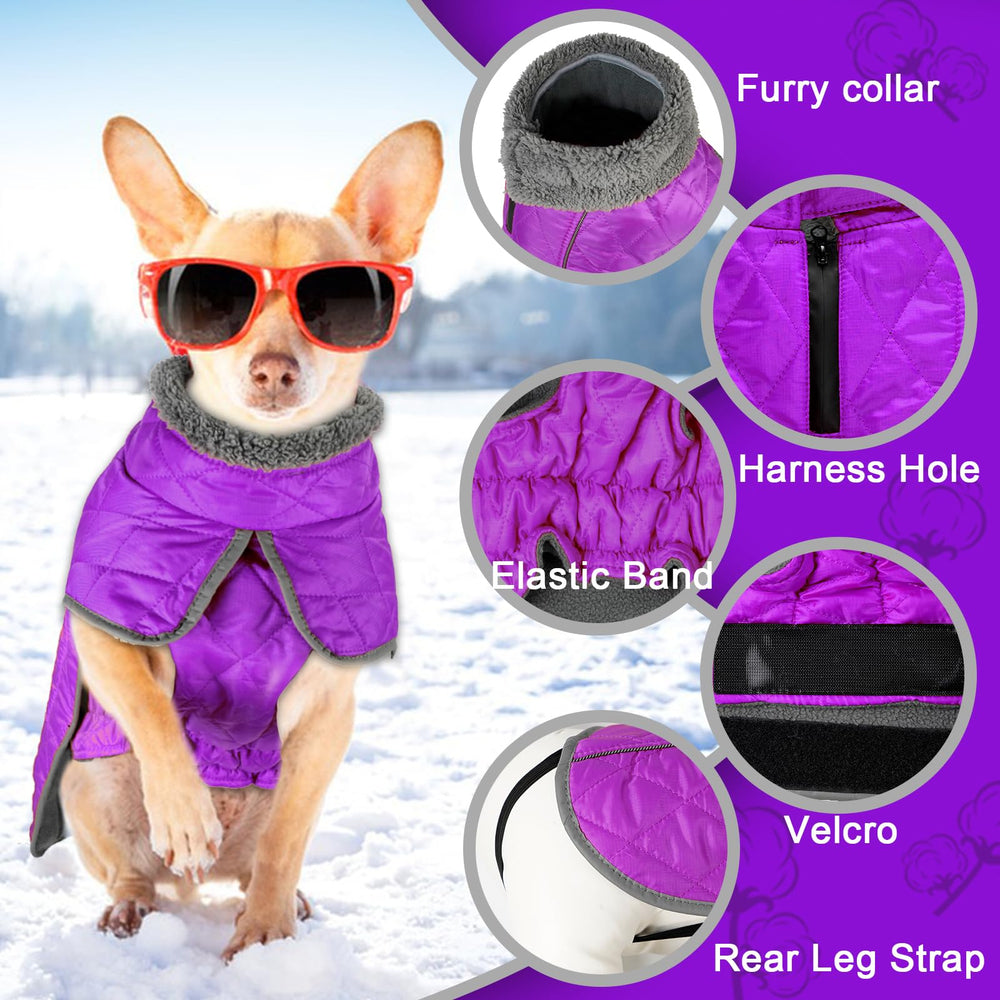 Fragralley dog winter coat includes rear leg strap to stay securely in place