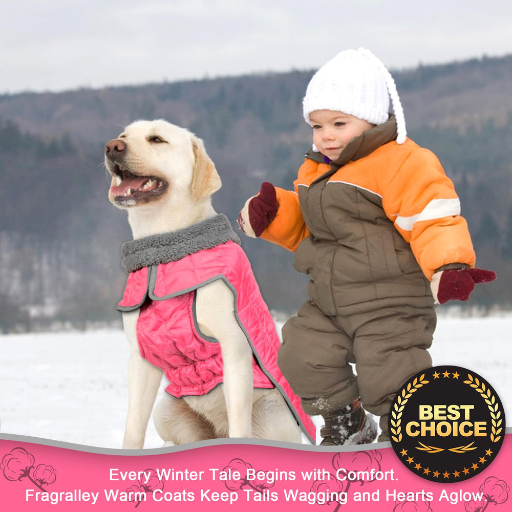 Fragralley coat includes rear leg strap to stay in place during play.