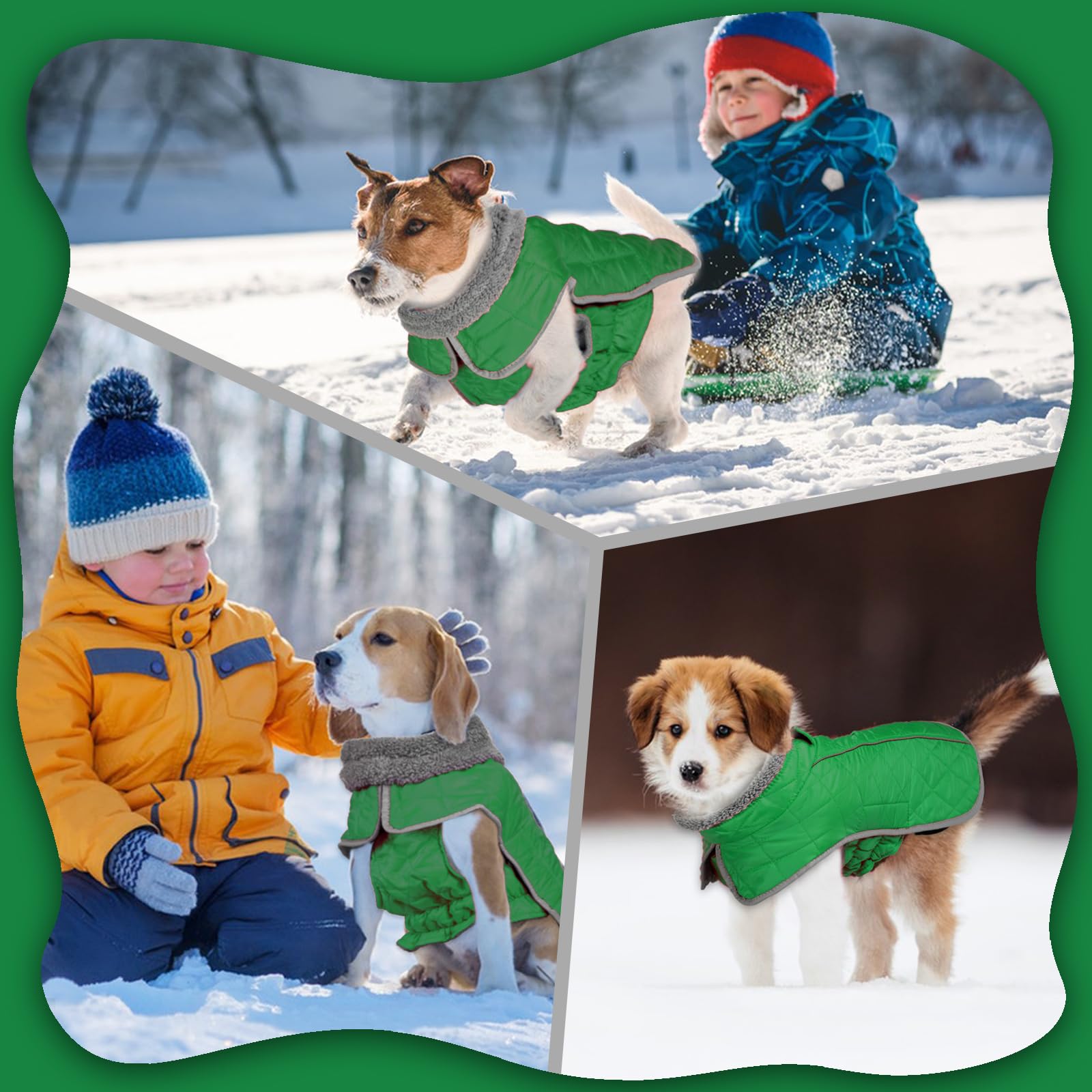 Fragralley dog winter coat rear-leg strap keeps coat in place during snow play
