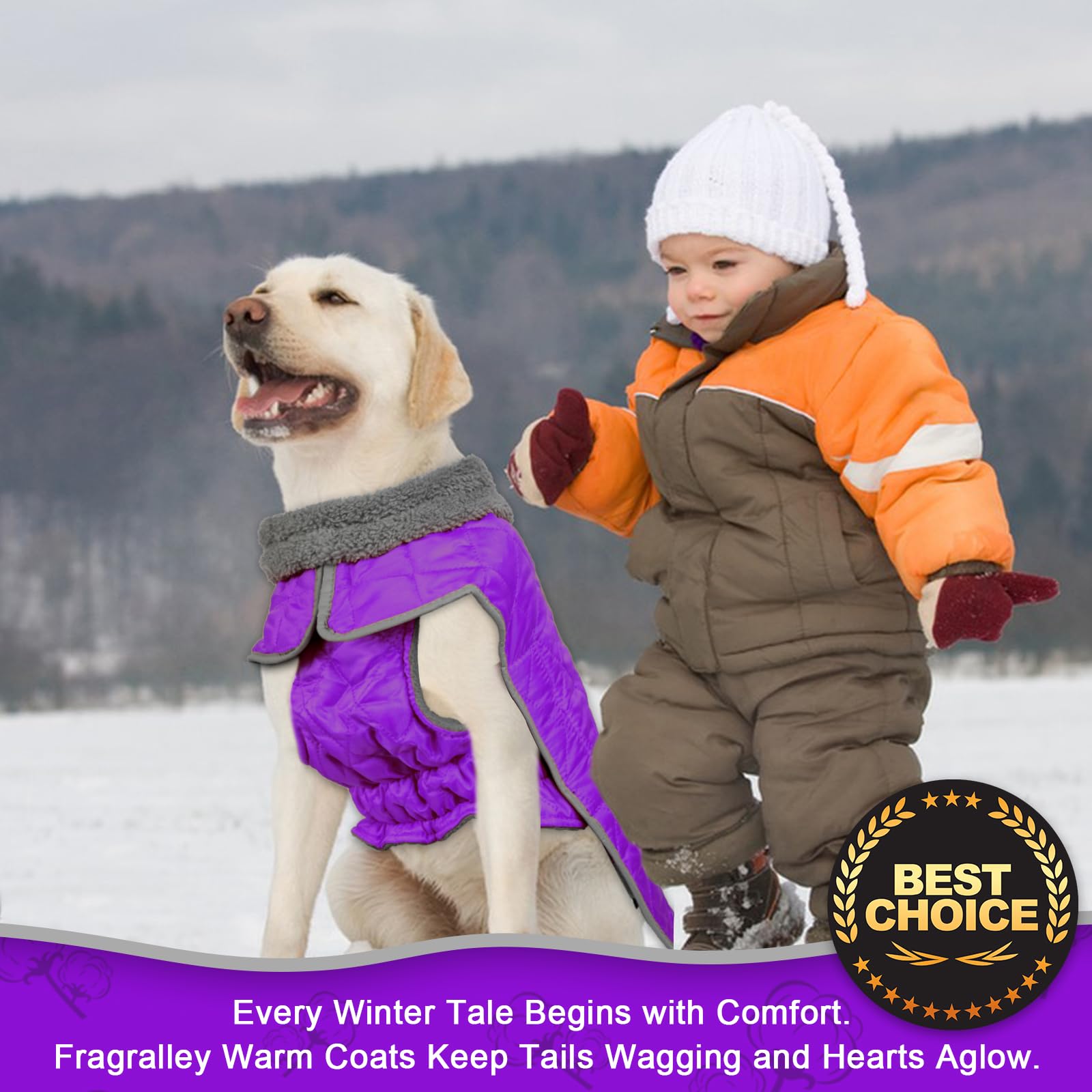 Fragralley dog winter coat with water-repellent outer layer for damp daily adventures