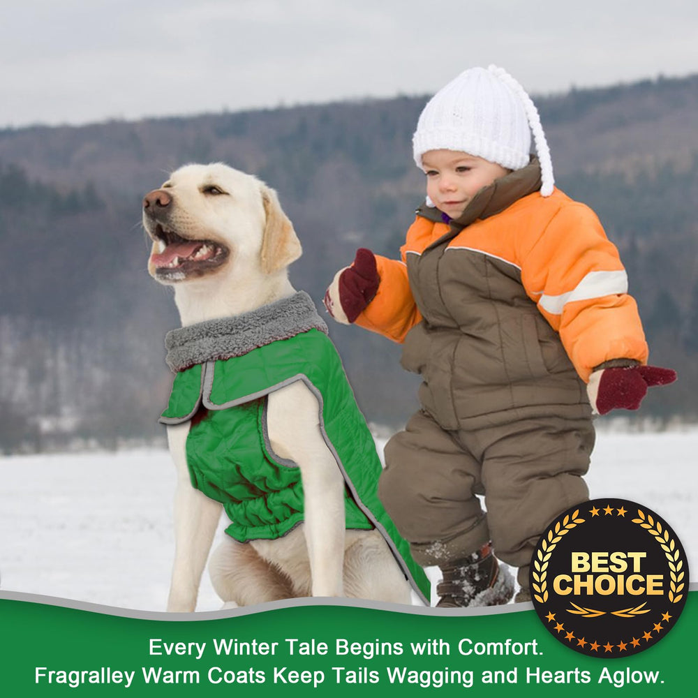 Fragralley dog winter coat water-repellent outer layer resists rain