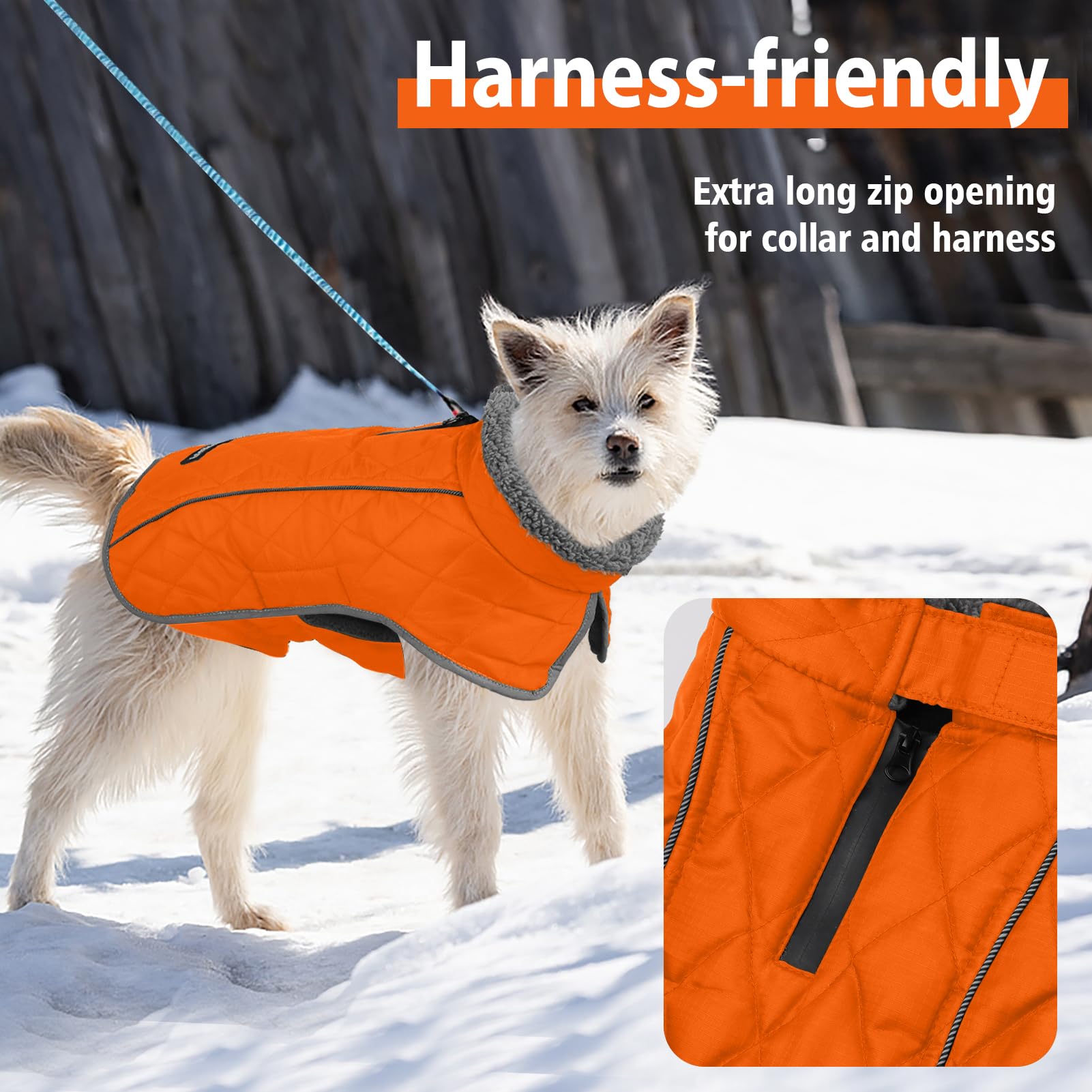 Fragralley easy-on-off Velcro dog coat simplifies quick outfit changes.
