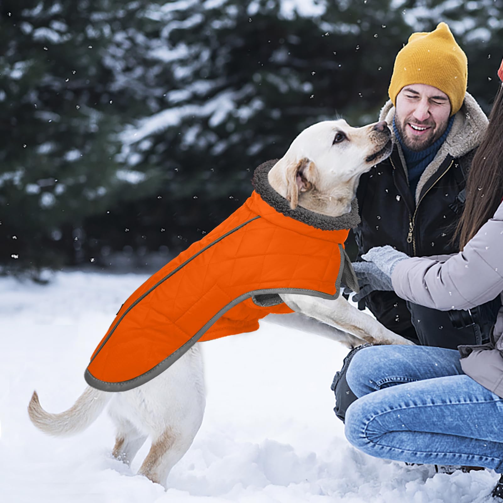 Fragralley orange color dog coat increases easy spotting during outings.