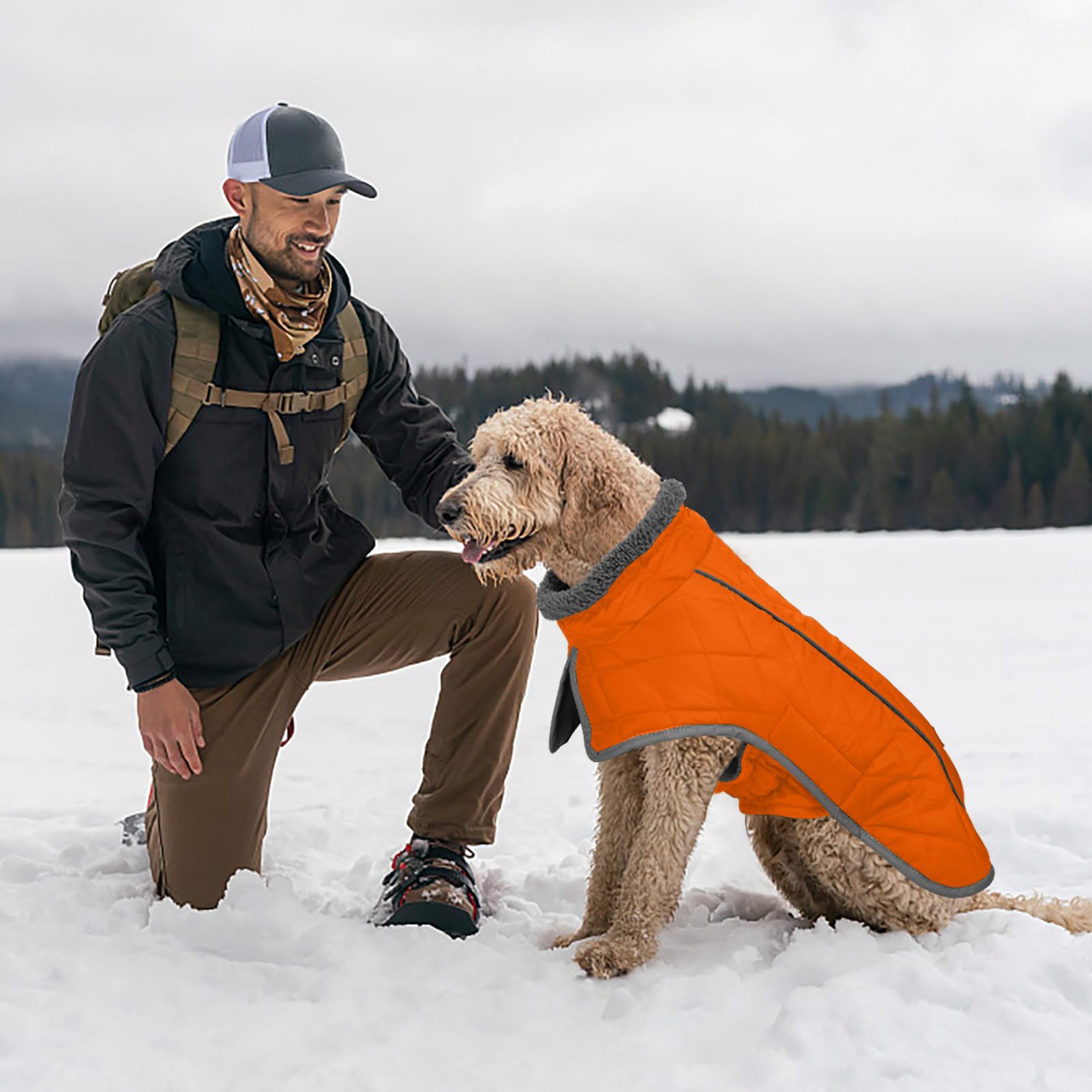 Fragralley size-chart helps pick the best fit for your dog.