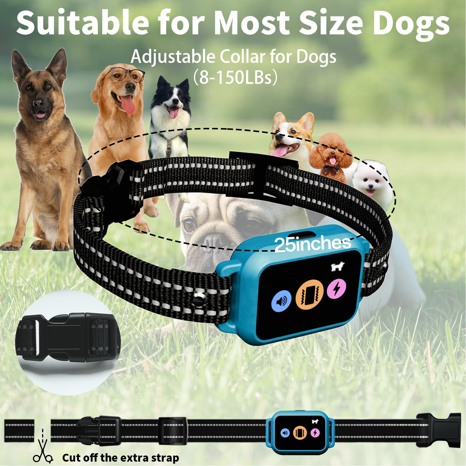 Frayo collar step counter tracks dog activity and exercise.