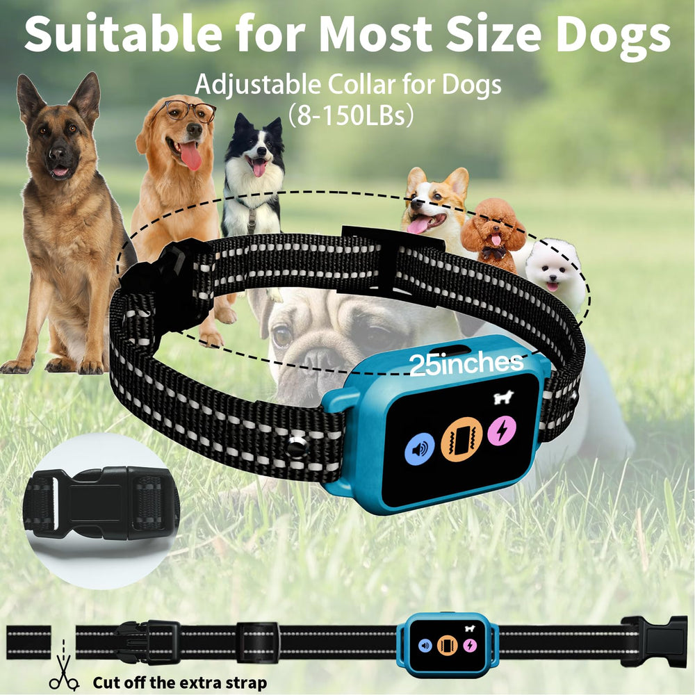 Frayo collar step counter tracks dog activity and exercise.