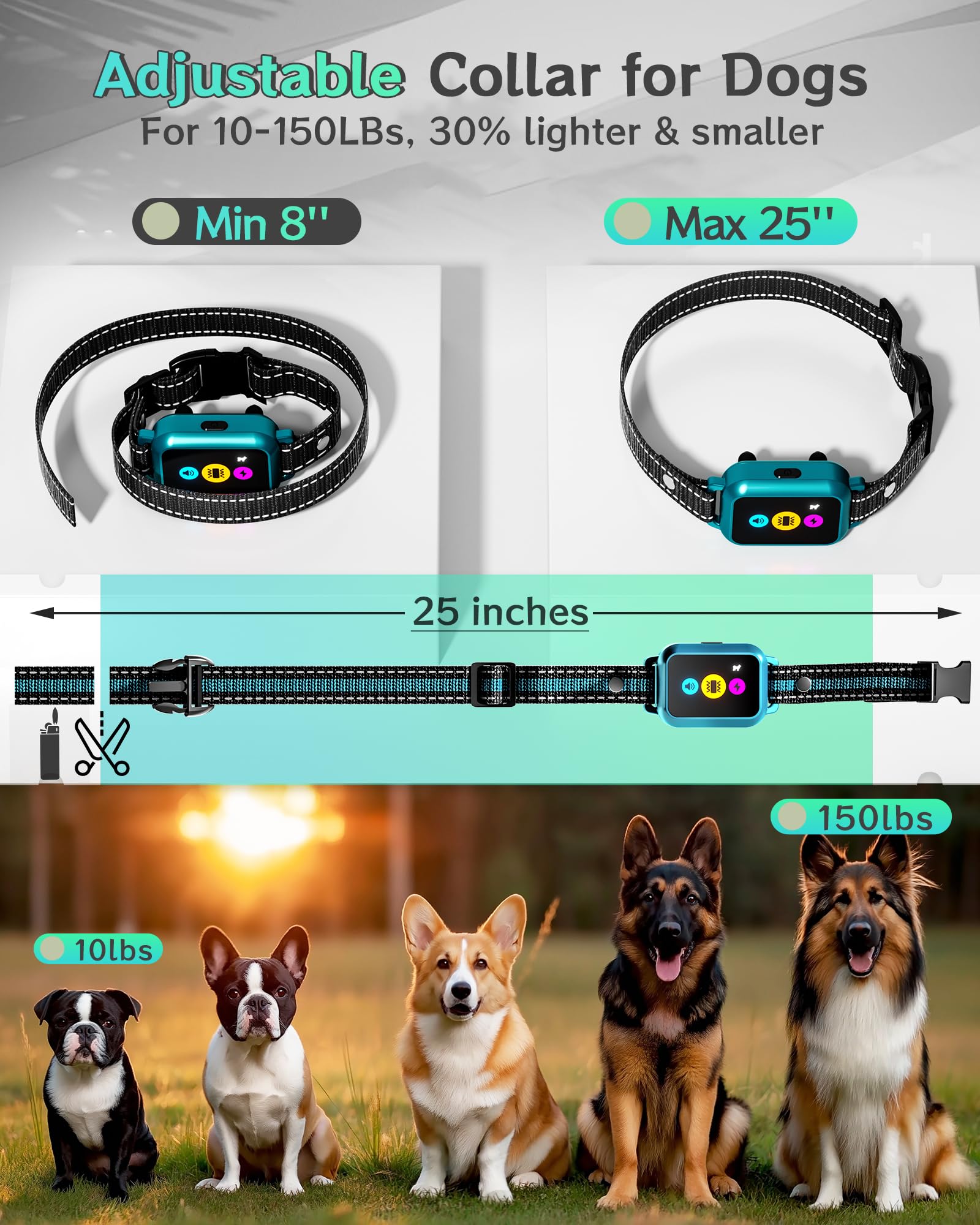 Frayo anti-lost safety light helps locate your dog at night