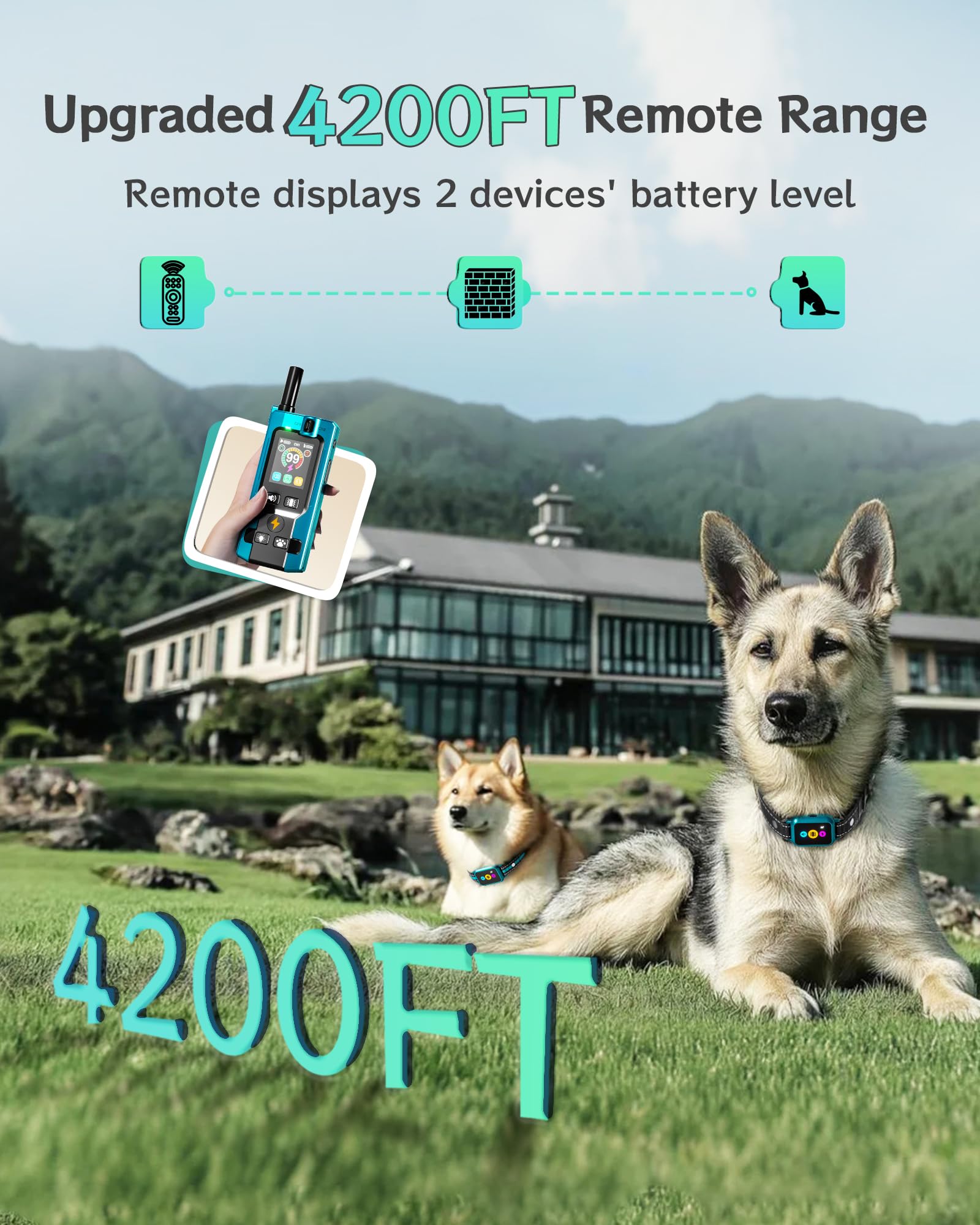 Frayo collar color screen interface provides quick setting visibility during walks