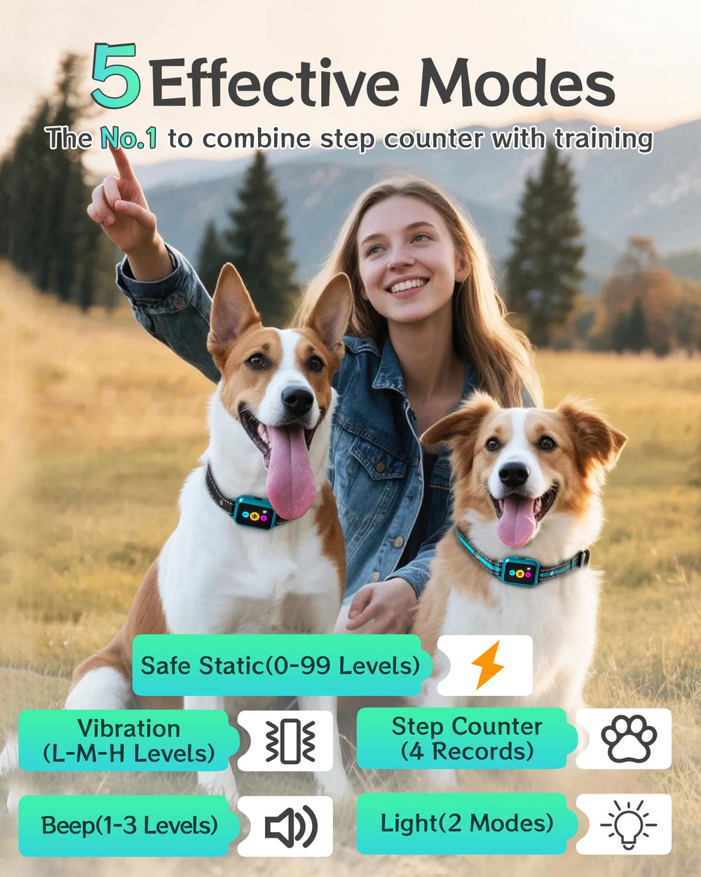 Frayo IP67 waterproof dog collar for all-weather wear and reliability