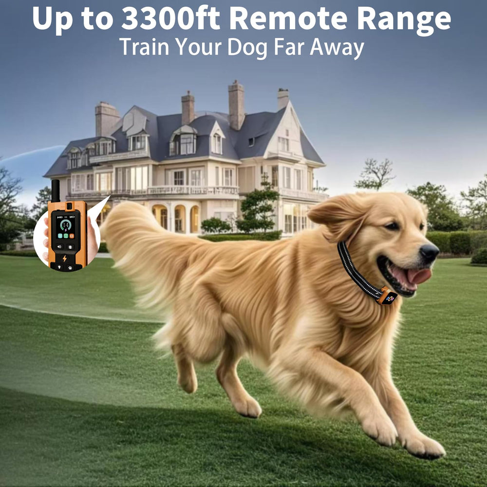 Frayo two-dog training setup enabling simultaneous control via one remote.