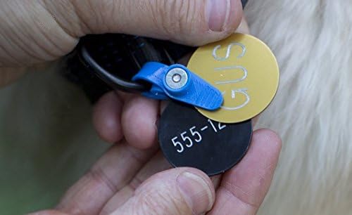 FreezeTag waterproof and odor-resistant for outdoor adventures