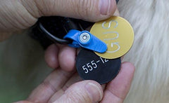 FreezeTag waterproof and odor-resistant for outdoor adventures