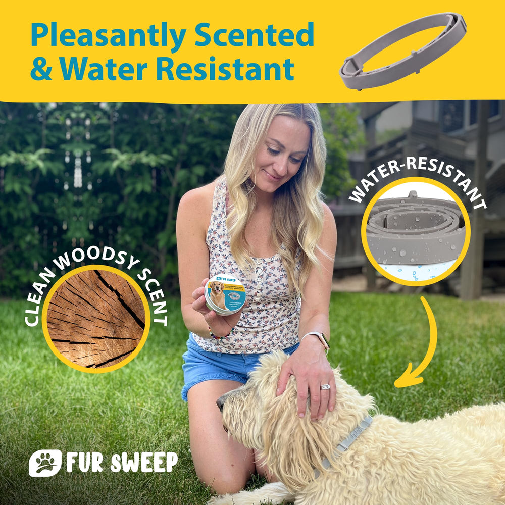 FREEZE2TRIM Fur Sweep water-resistant collar dries quickly after play.