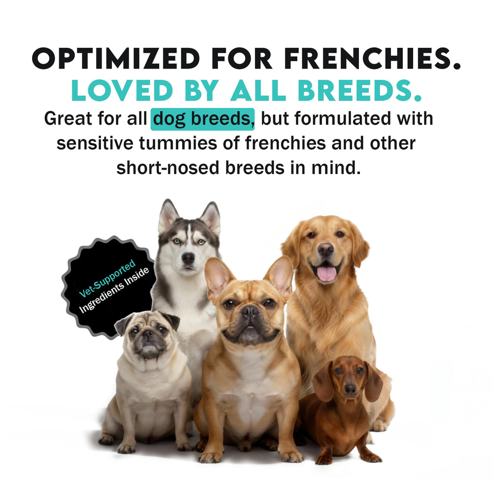 Frenchies vs Everybody close-up with owner illustrates bond through improved breath after daily use.