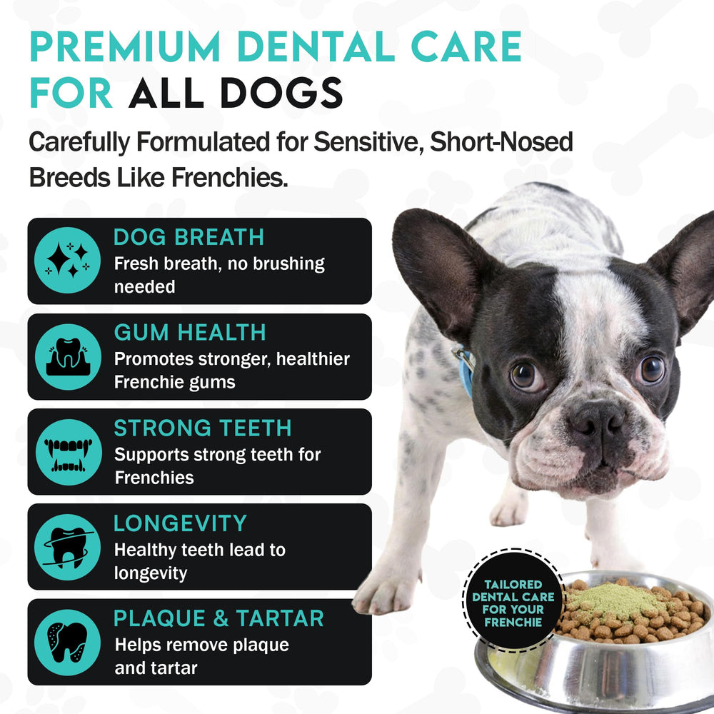 Frenchies vs Everybody dog teeth powder scoop demonstrates simple daily dosage for gentle tartar control.