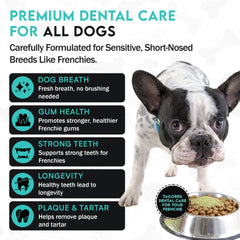 Frenchies vs Everybody dog teeth powder scoop demonstrates simple daily dosage for gentle tartar control.