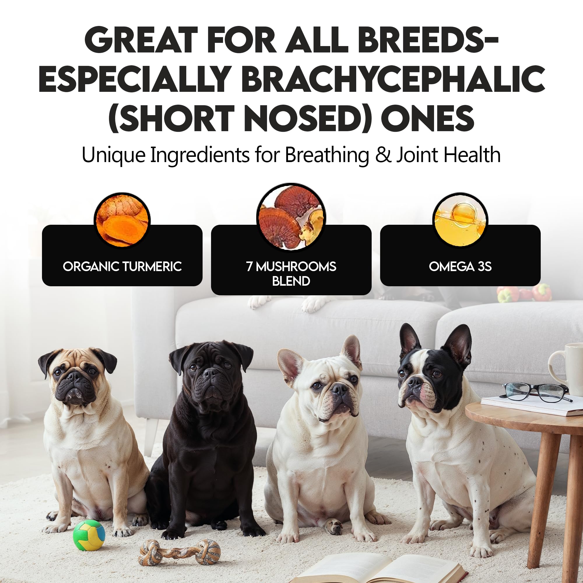 Frenchies vs Everybody easy-daily-use powder easily mixes into meals.