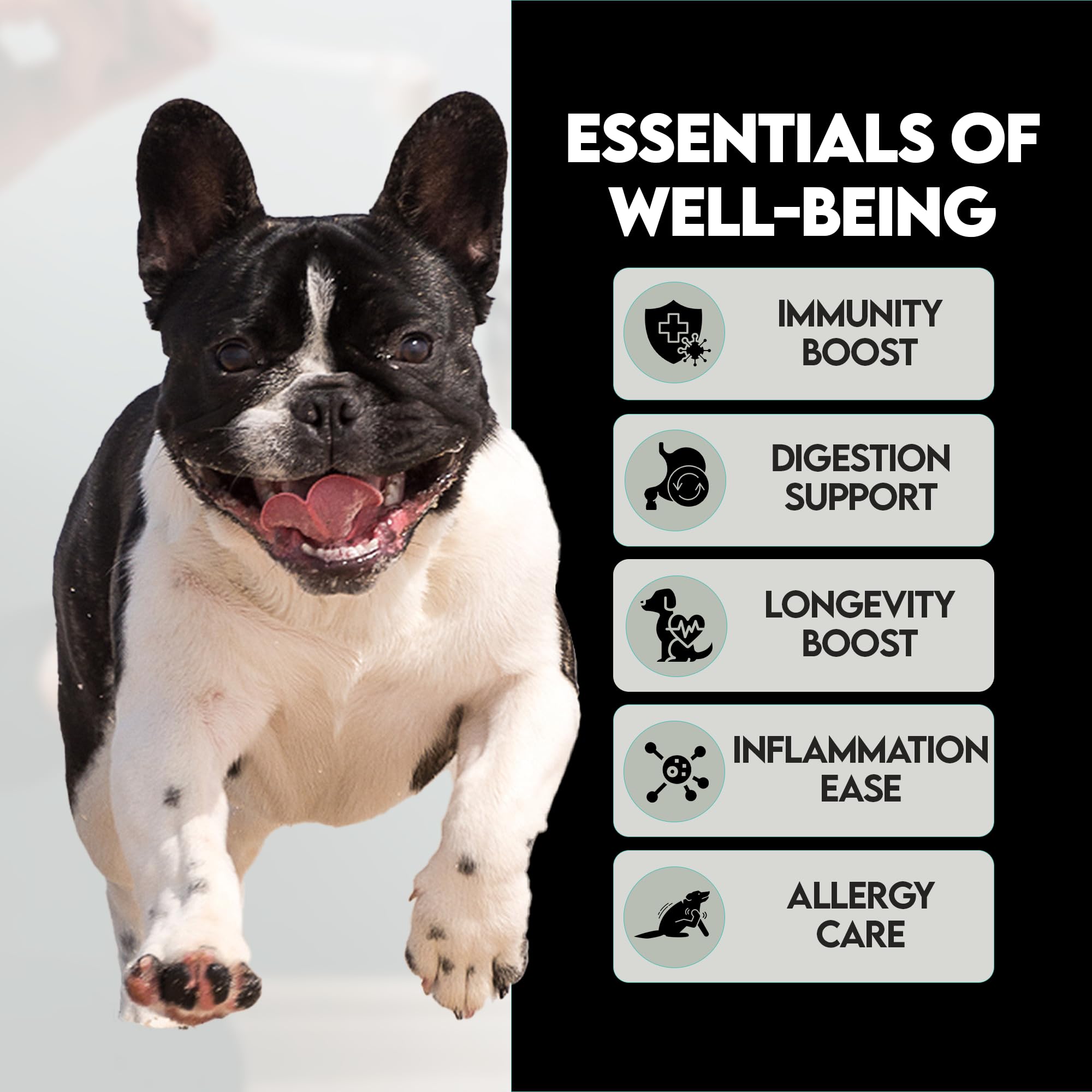 Frenchies vs Everybody immune-defense turkey-tail blend supports overall immune health.