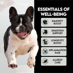 Frenchies vs Everybody immune-defense turkey-tail blend supports overall immune health.