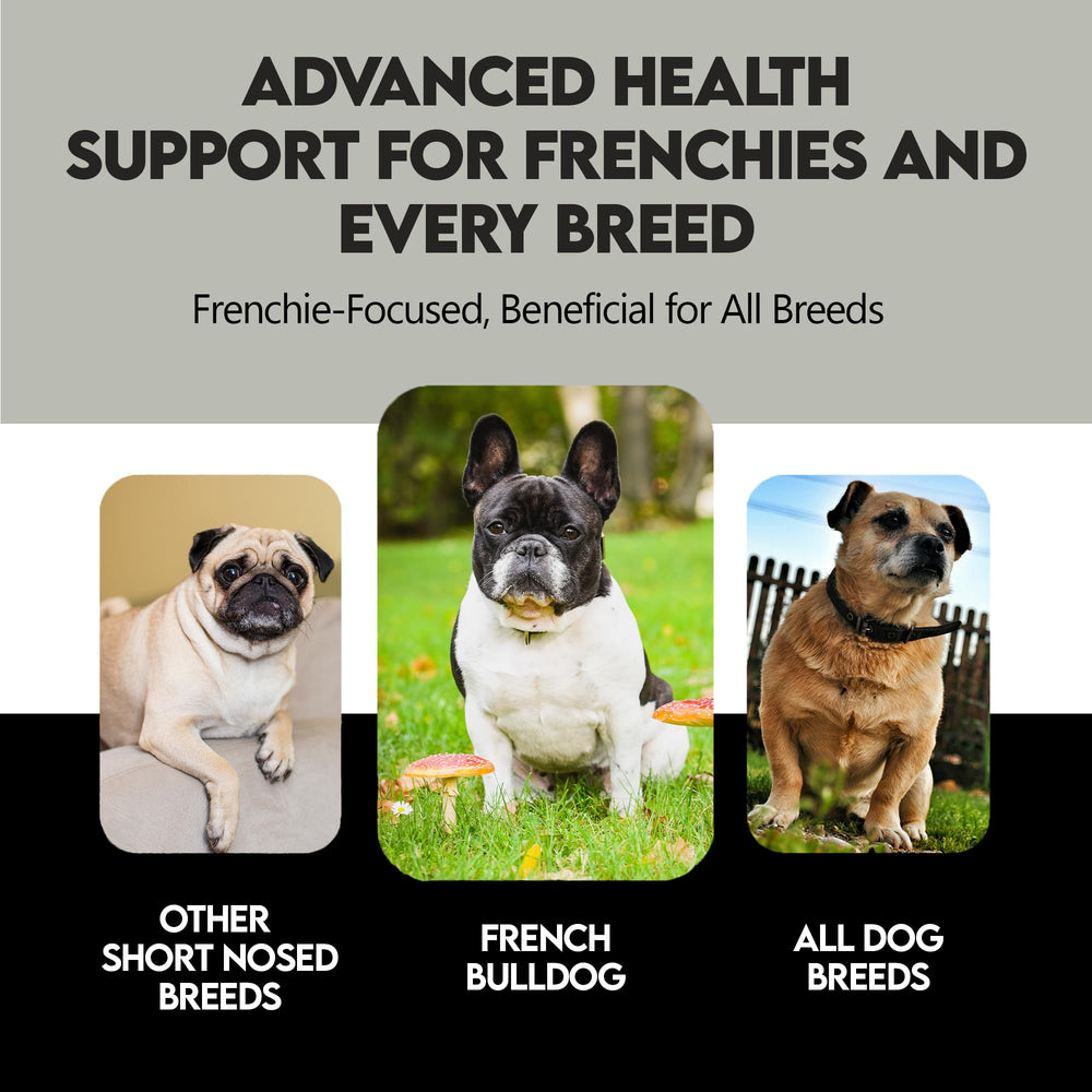 Frenchies vs Everybody lipoma-support blend promotes cellular health for lumps.