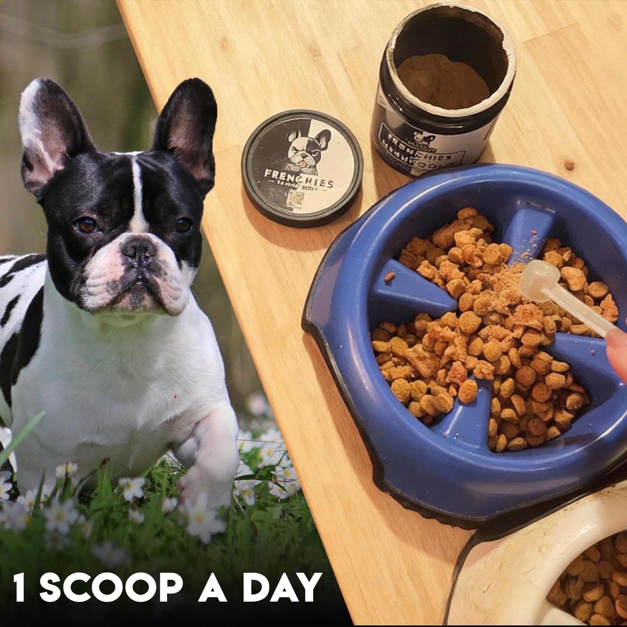 Frenchies vs Everybody vet-inspired potency ensures safe, daily dog supplement.