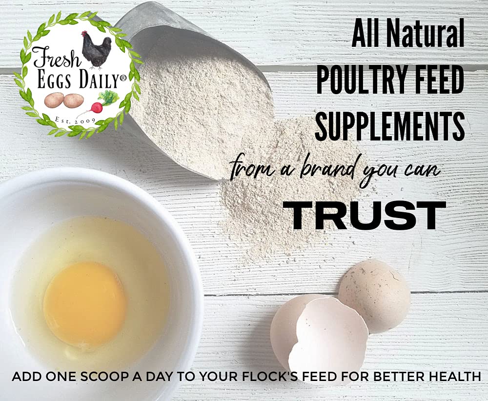 Fresh Eggs Daily ducklings growth image shows yeast supplement supporting bone development.