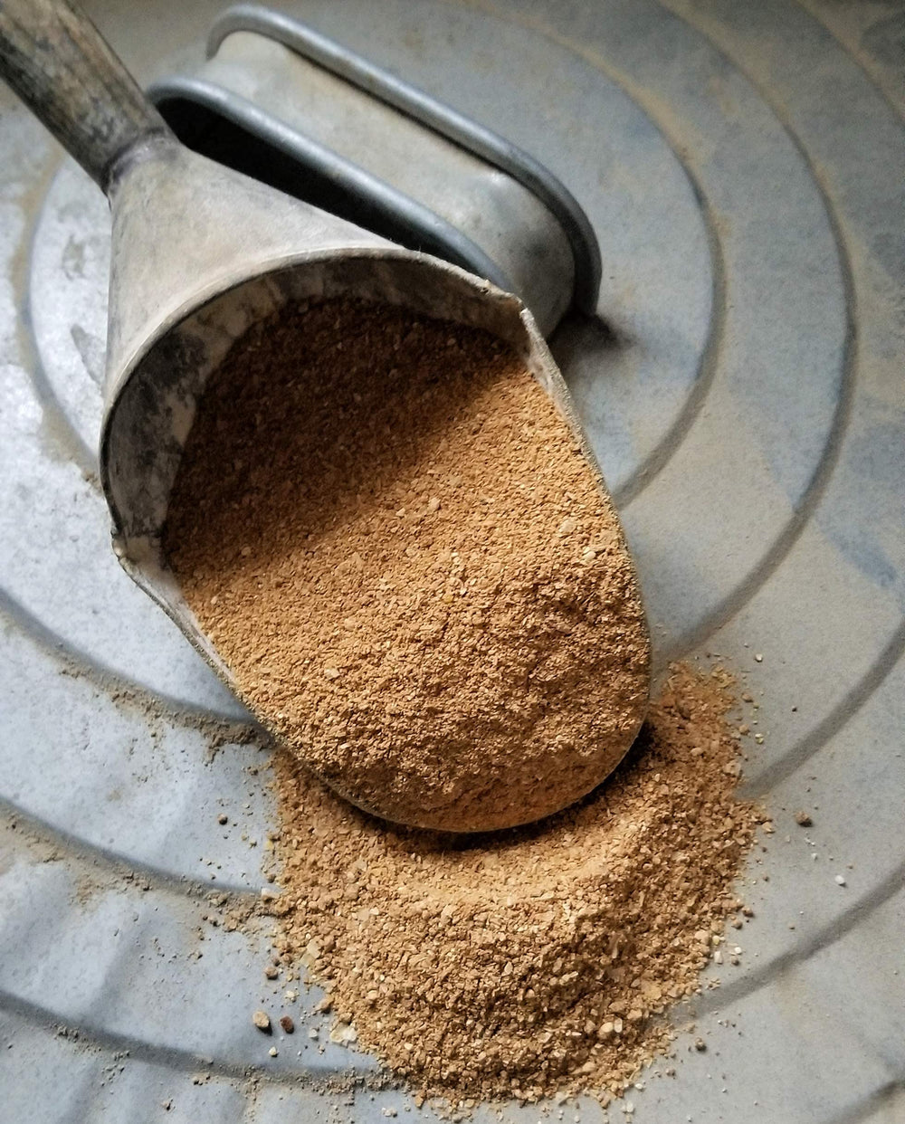 Fresh Eggs Daily Poultry Probiotics in feeder supports flock digestive comfort.