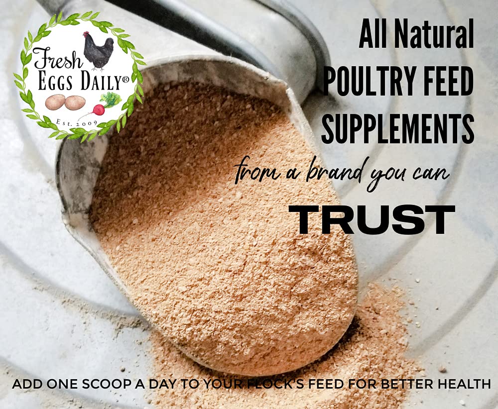 Fresh Eggs Daily Poultry Probiotics helping coop odor control during daily use.